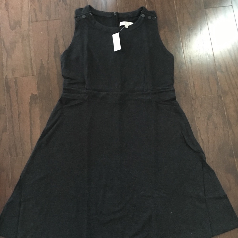 NWT Loft grey button flare dress